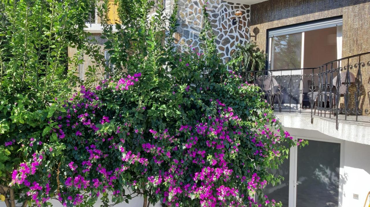 Colina Guesthouse - براغا المظهر الخارجي الصورة